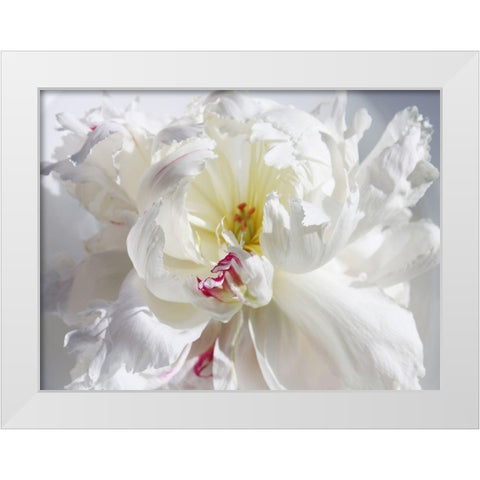 Breathless V White Modern Wood Framed Art Print by Orlov, Irena