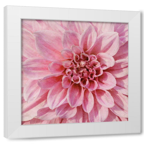 Wall Flower VII White Modern Wood Framed Art Print by Saunders, Alonzo