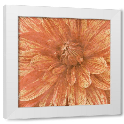 Wall Flower IX White Modern Wood Framed Art Print by Saunders, Alonzo