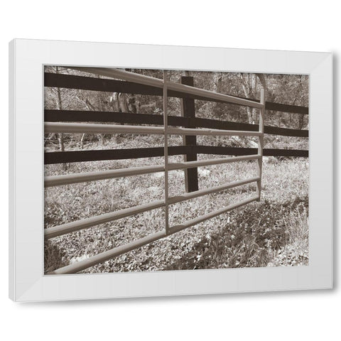 Sepia Farm Study I White Modern Wood Framed Art Print by Ludwig, Alicia