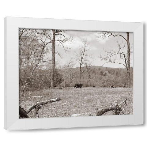 Sepia Farm Study II White Modern Wood Framed Art Print by Ludwig, Alicia