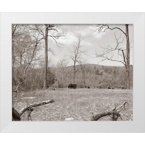 Sepia Farm Study II White Modern Wood Framed Art Print by Ludwig, Alicia