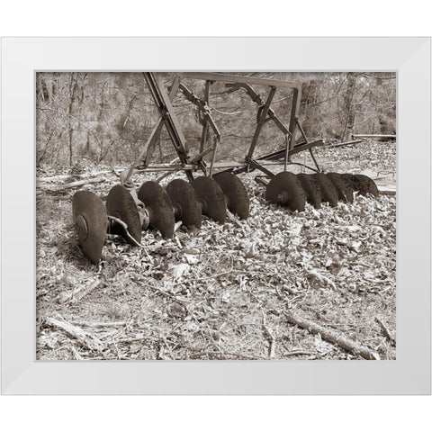 Sepia Farm Study III White Modern Wood Framed Art Print by Ludwig, Alicia