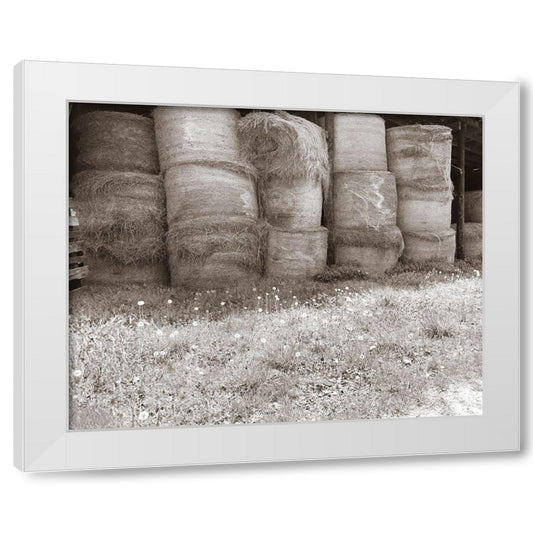 Perspective Image