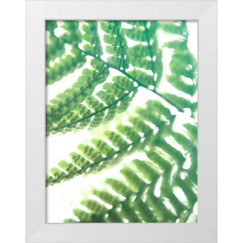 Fern Glow II White Modern Wood Framed Art Print by Johnson, Jason