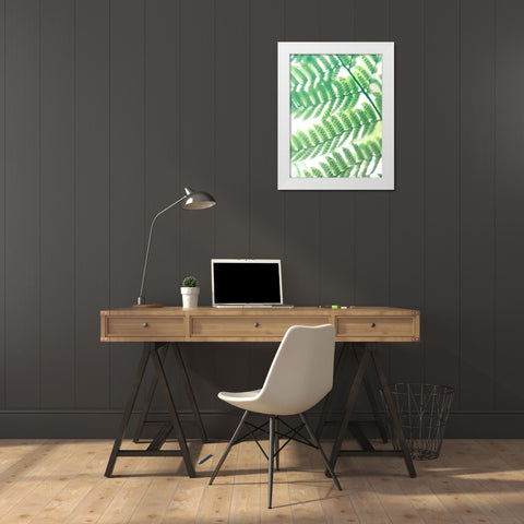 Fern Glow III White Modern Wood Framed Art Print by Johnson, Jason