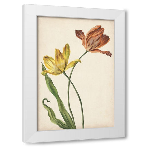 Two Tulips I White Modern Wood Framed Art Print by Wang, Melissa