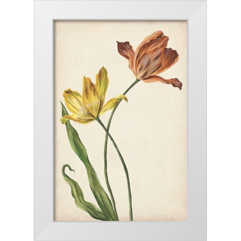 Two Tulips I White Modern Wood Framed Art Print by Wang, Melissa