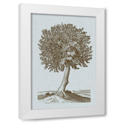 Antique Tree in Sepia I White Modern Wood Framed Art Print by Vision Studio