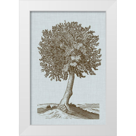 Antique Tree in Sepia I White Modern Wood Framed Art Print by Vision Studio