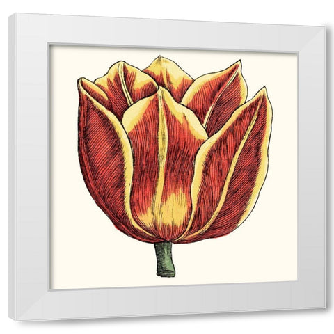 Tulip Garden IV White Modern Wood Framed Art Print by Vision Studio