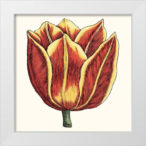 Tulip Garden IV White Modern Wood Framed Art Print by Vision Studio