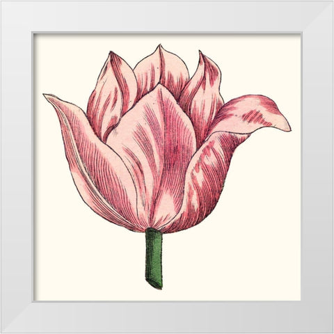 Tulip Garden VII White Modern Wood Framed Art Print by Vision Studio