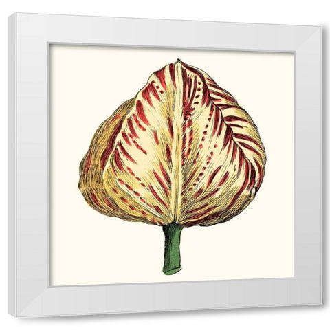 Tulip Garden IX White Modern Wood Framed Art Print by Vision Studio