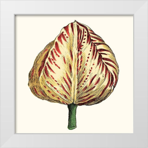 Tulip Garden IX White Modern Wood Framed Art Print by Vision Studio