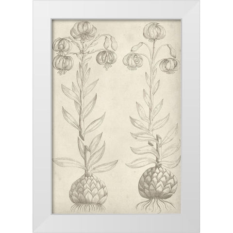 Fresco Floral II White Modern Wood Framed Art Print by Vision Studio