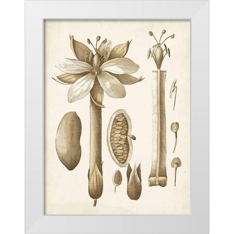 Ochre Botanical I White Modern Wood Framed Art Print by Vision Studio