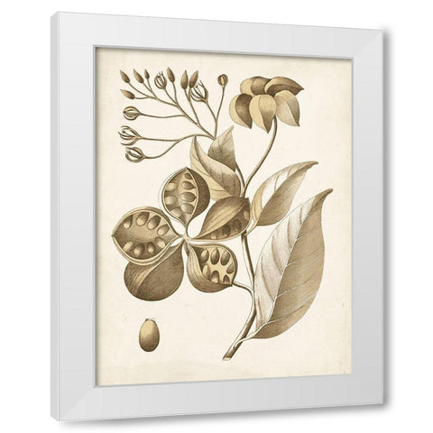 Ochre Botanical II White Modern Wood Framed Art Print by Vision Studio