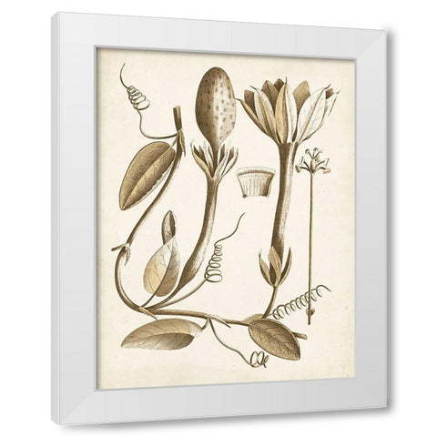 Ochre Botanical IV White Modern Wood Framed Art Print by Vision Studio