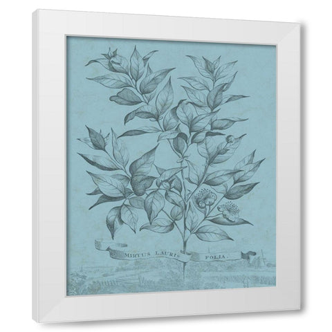 Botanical on Teal I White Modern Wood Framed Art Print by Vision Studio