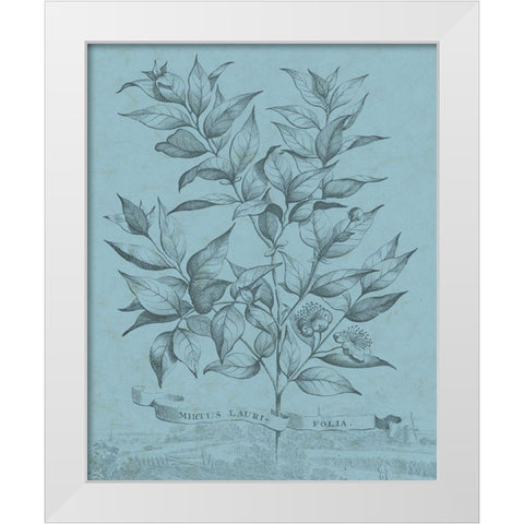 Botanical on Teal I White Modern Wood Framed Art Print by Vision Studio