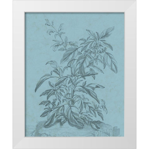 Botanical on Teal III White Modern Wood Framed Art Print by Vision Studio