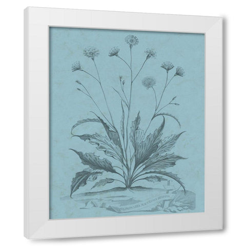 Botanical on Teal IV White Modern Wood Framed Art Print by Vision Studio
