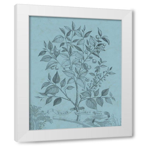 Botanical on Teal V White Modern Wood Framed Art Print by Vision Studio