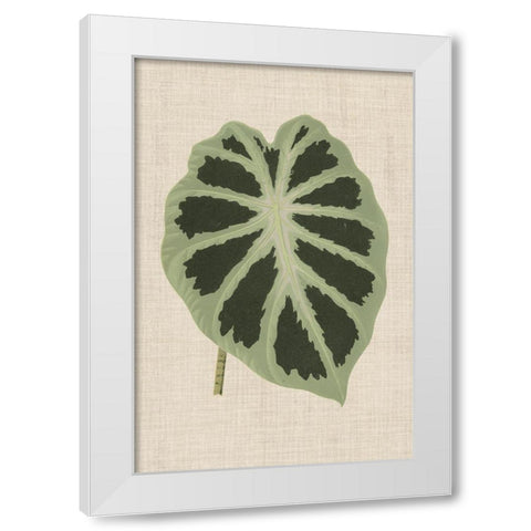 Leaves on Linen II White Modern Wood Framed Art Print by Unknown