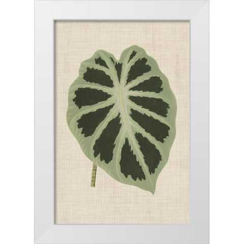 Leaves on Linen II White Modern Wood Framed Art Print by Unknown