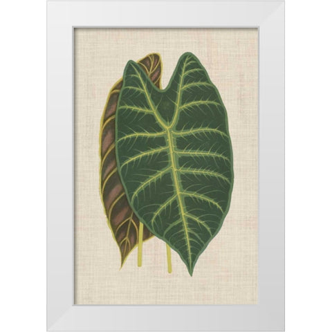 Leaves on Linen III White Modern Wood Framed Art Print by Unknown