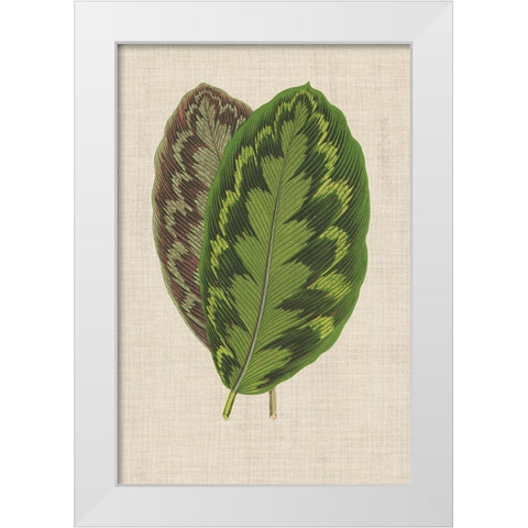 Leaves on Linen IV White Modern Wood Framed Art Print by Unknown