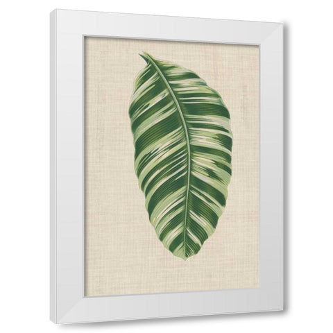 Leaves on Linen VI White Modern Wood Framed Art Print by Unknown
