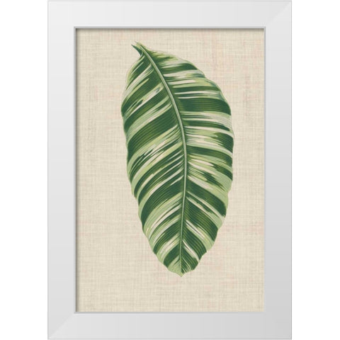 Leaves on Linen VI White Modern Wood Framed Art Print by Unknown