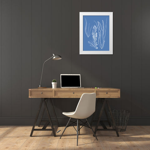 Seaweed Cyanotype IV White Modern Wood Framed Art Print by Vision Studio