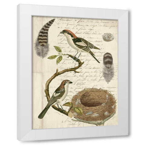 Avian Journal I White Modern Wood Framed Art Print by Vision Studio