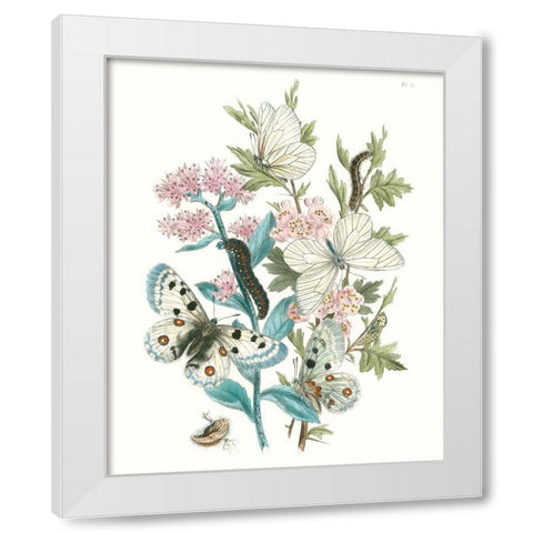 British Butterflies III White Modern Wood Framed Art Print by Unknown