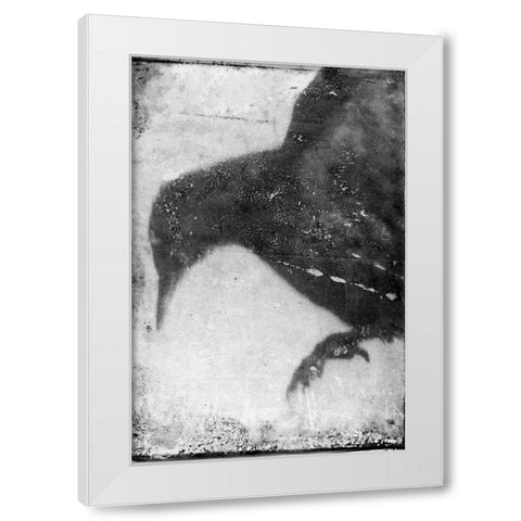 B and W Flight I White Modern Wood Framed Art Print by Blixt, Ingrid