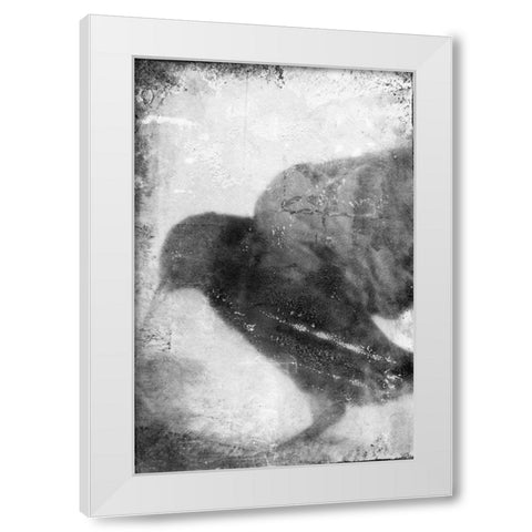 B and W Flight V White Modern Wood Framed Art Print by Blixt, Ingrid
