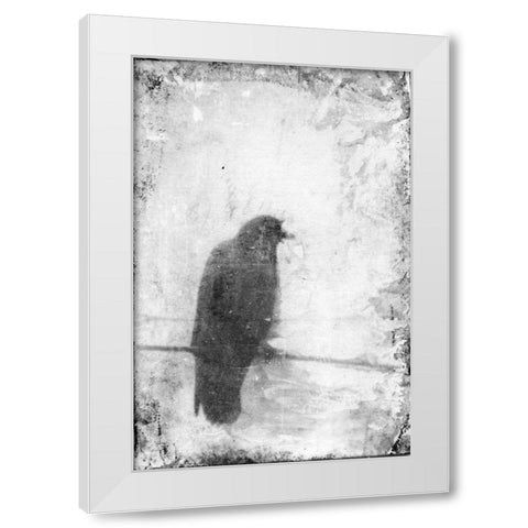 B and W Flight VI White Modern Wood Framed Art Print by Blixt, Ingrid