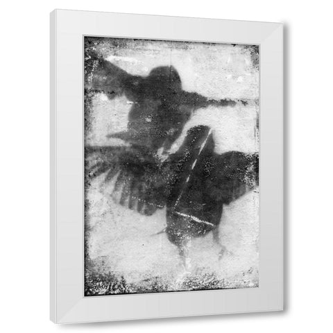 B and W Flight VII White Modern Wood Framed Art Print by Blixt, Ingrid