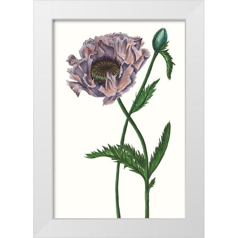 Poppy Flower IV White Modern Wood Framed Art Print by Wang, Melissa