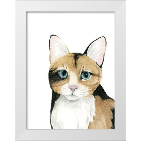Cat Portrait II White Modern Wood Framed Art Print by Popp, Grace