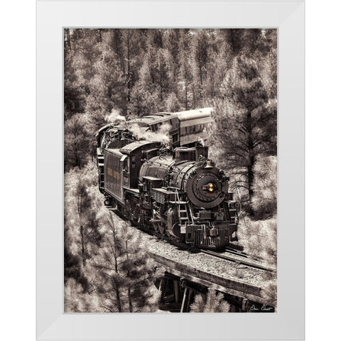 Train Arrival III White Modern Wood Framed Art Print by Drost, David