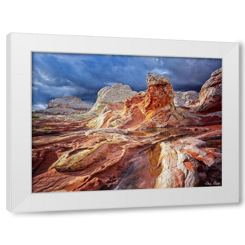 Valley Beauty II White Modern Wood Framed Art Print by Drost, David