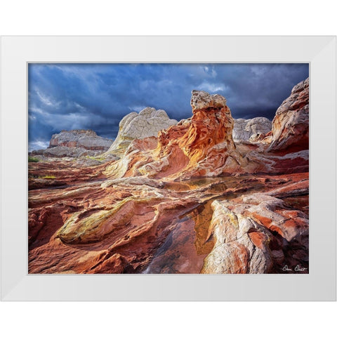 Valley Beauty II White Modern Wood Framed Art Print by Drost, David