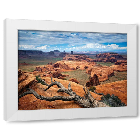 Valley Beauty VII White Modern Wood Framed Art Print by Drost, David