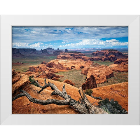 Valley Beauty VII White Modern Wood Framed Art Print by Drost, David