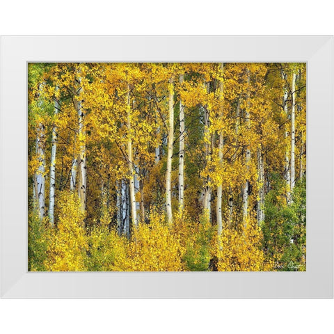 Yellow Woods II White Modern Wood Framed Art Print by Drost, David