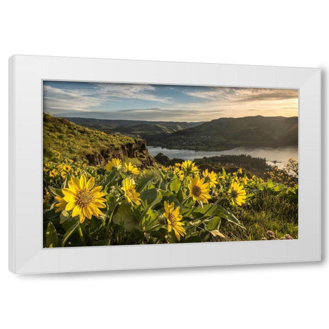 Soaking Up the Sun White Modern Wood Framed Art Print by Head, Danny